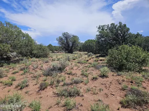 3981 Apache Rd, Snowflake, AZ 85937 photo 6