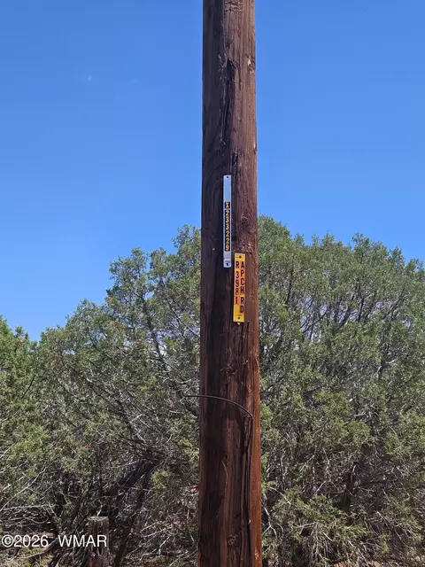 3981 Apache Rd, Snowflake, AZ 85937 photo 12