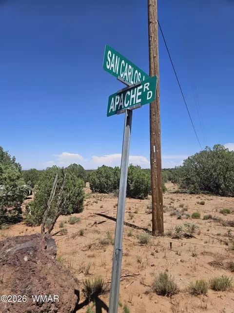 3981 Apache Rd, Snowflake, AZ 85937 photo 8