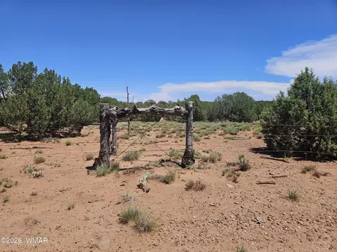 3981 Apache Rd, Snowflake, AZ 85937 photo 13
