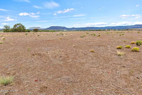 tbd N Becker Lake Rd, Springerville, AZ 85938 photo 17