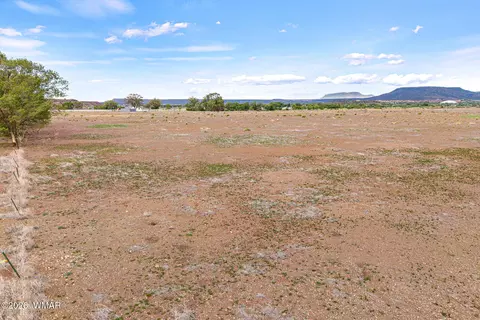 tbd N Becker Lake Rd, Springerville, AZ 85938 photo 16