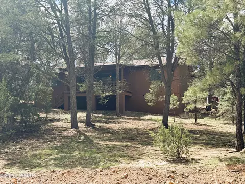 Other - 3300 Panorama Dr, Overgaard, AZ 85933 photo 2 of 8