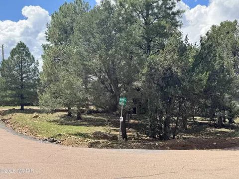 Other - 3300 Panorama Dr, Overgaard, AZ 85933 photo 7 of 8