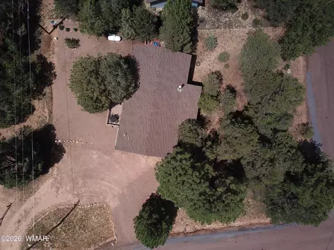 View/Area - 3300 Panorama Dr, Overgaard, AZ 85933 photo 1 of 1
