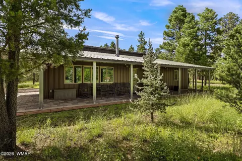 Exterior - 2970 Pine Rim Rd, Overgaard, AZ 85933 photo 8 of 8