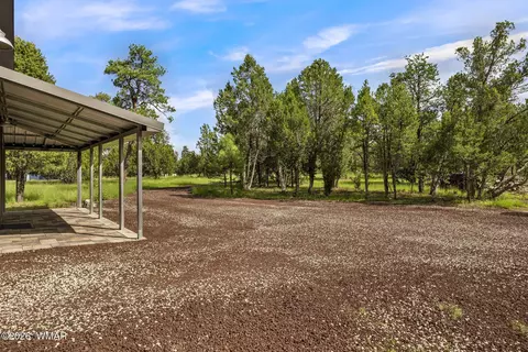 Other - 2970 Pine Rim Rd, Overgaard, AZ 85933 photo 3 of 11
