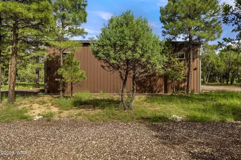 Exterior - 2970 Pine Rim Rd, Overgaard, AZ 85933 photo 4 of 8