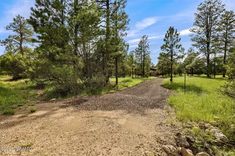 Other - 2970 Pine Rim Rd, Overgaard, AZ 85933 photo 9 of 11