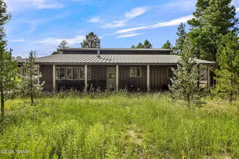 Other - 2970 Pine Rim Rd, Overgaard, AZ 85933 photo 11 of 11
