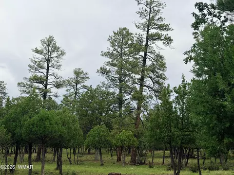 4517 Durango Dr, Happy Jack, AZ 86024
