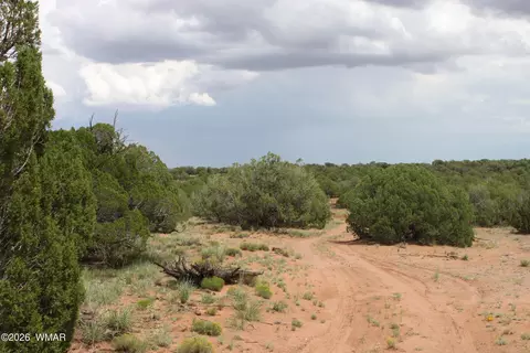 tbd N8595, Concho, AZ 85924 photo 9