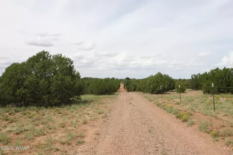 tbd N8595, Concho, AZ 85924 photo 13