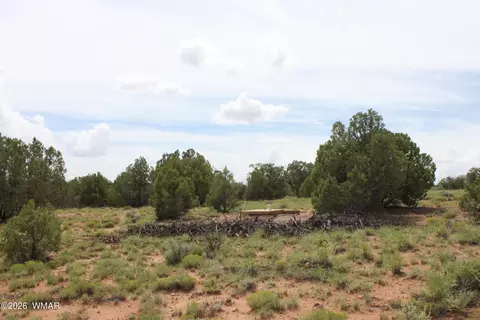 tbd N8595, Concho, AZ 85924 photo 5