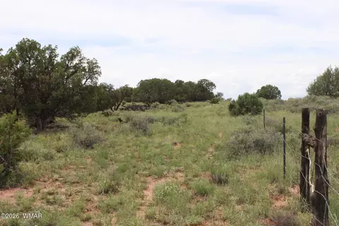 tbd N8595, Concho, AZ 85924 photo 8