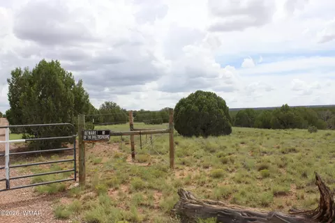 tbd N8595, Concho, AZ 85924 photo 14