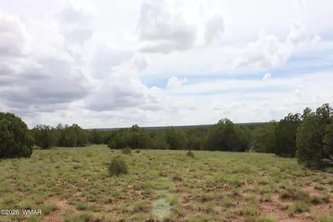 tbd N8595, Concho, AZ 85924 photo 12