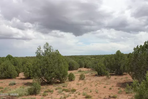 tbd N8595, Concho, AZ 85924 photo 10