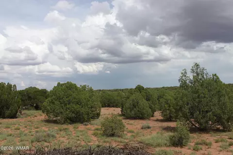 tbd N8595, Concho, AZ 85924 photo 11