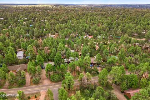 View/Area - 2144 Indian Trl, Overgaard, AZ 85933 photo 2 of 5