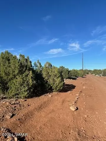 8766 Clark Rd, Show Low, AZ 85901