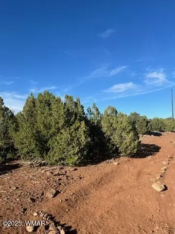 8776 Clark Rd, Show Low, AZ 85901