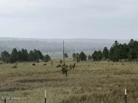 Other - 56 County Road 2266, Alpine, AZ 85920 photo 14 of 17