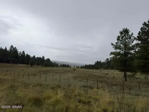 Other - 56 County Road 2266, Alpine, AZ 85920 photo 13 of 17