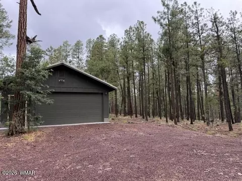 Other - 56 County Road 2266, Alpine, AZ 85920 photo 12 of 17