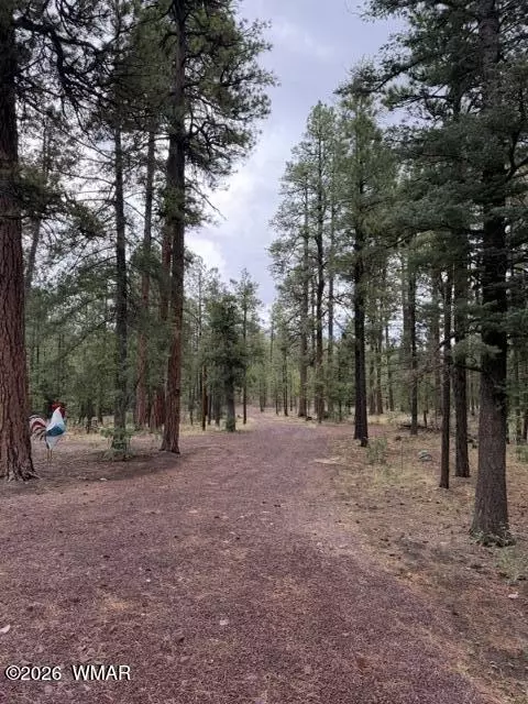 Other - 56 County Road 2266, Alpine, AZ 85920 photo 9 of 17