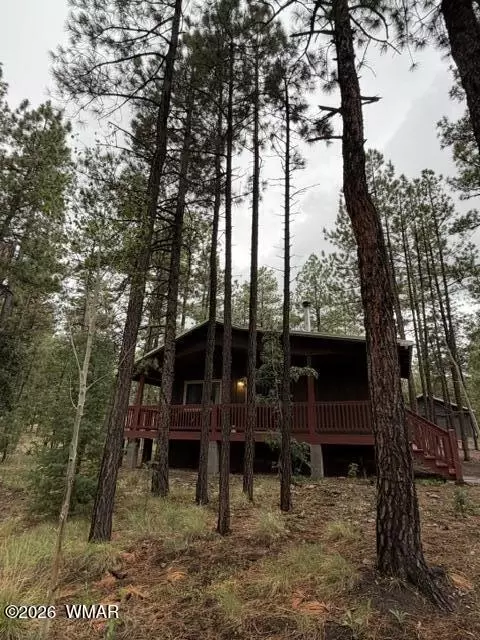 Other - 56 County Road 2266, Alpine, AZ 85920 photo 1 of 17
