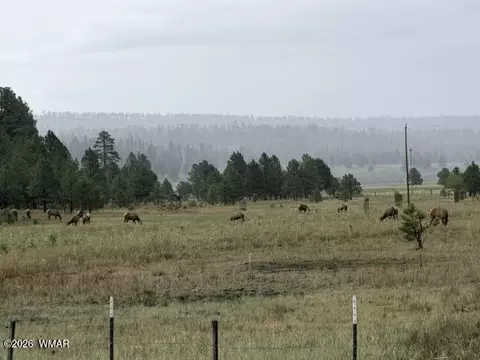 Other - 56 County Road 2266, Alpine, AZ 85920 photo 15 of 17