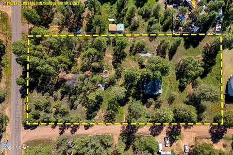 2877 Turkey Trl, Overgaard, AZ 85933 photo 8