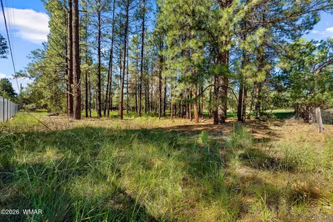 2877 Turkey Trl, Overgaard, AZ 85933 photo 3