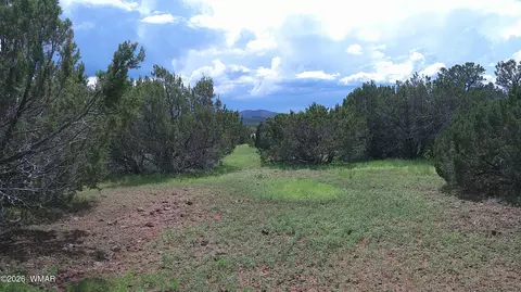 19 N3133, Vernon, AZ 85940