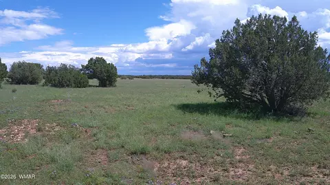 8583 Pine Ln, Show Low, AZ 85901
