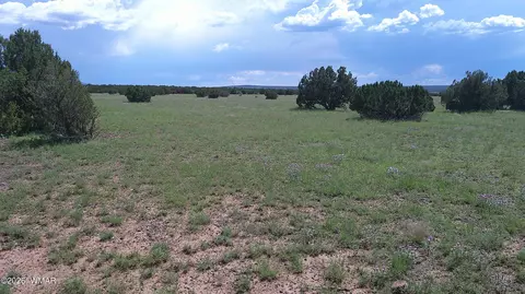 8583 Pine Ln, Show Low, AZ 85901 photo 27