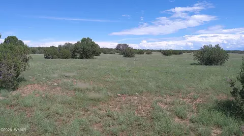 8583 Pine Ln, Show Low, AZ 85901 photo 15