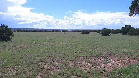 8583 Pine Ln, Show Low, AZ 85901 photo 25