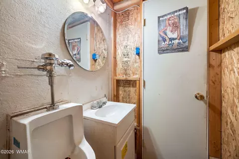 Bath - 2229 Chevelon Rd, Overgaard, AZ 85933 photo 4 of 5