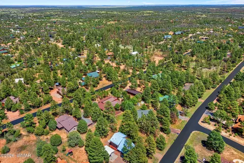 View/Area - 2229 Chevelon Rd, Overgaard, AZ 85933 photo 4 of 5