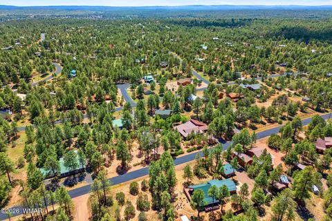 View/Area - 2229 Chevelon Rd, Overgaard, AZ 85933 photo 3 of 5