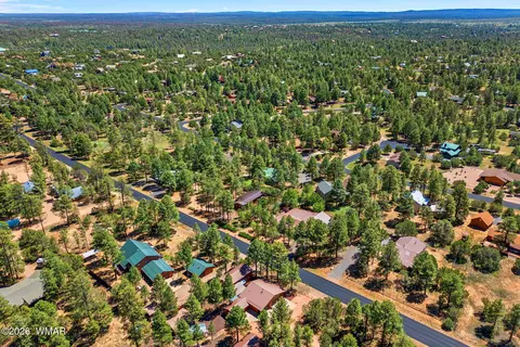 View/Area - 2229 Chevelon Rd, Overgaard, AZ 85933 photo 2 of 5