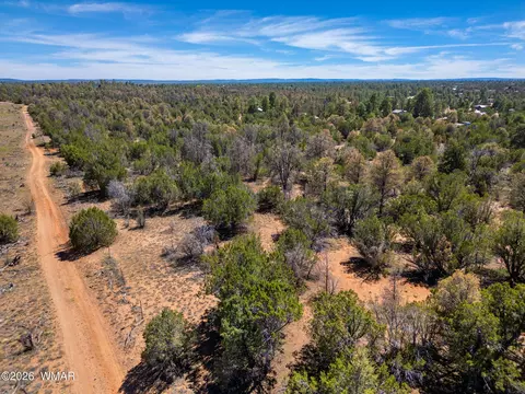 3365 Weese Run, Overgaard, AZ 85933 photo 1