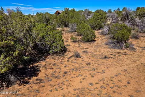 3371 Weese Run, Overgaard, AZ 85933 photo 21