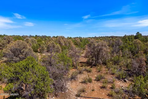 3371 Weese Run, Overgaard, AZ 85933 photo 20