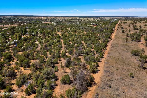 3371 Weese Run, Overgaard, AZ 85933 photo 6