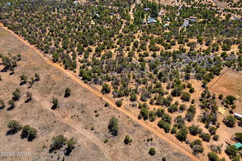 3371 Weese Run, Overgaard, AZ 85933 photo 10