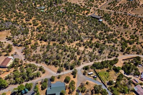 3371 Weese Run, Overgaard, AZ 85933 photo 15