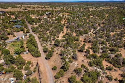 3371 Weese Run, Overgaard, AZ 85933 photo 17